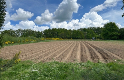 Le Jardin après la plantation